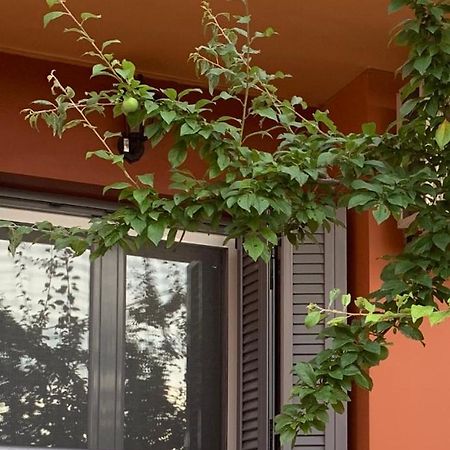 Kalligoni Lefkas Apartment מראה חיצוני תמונה